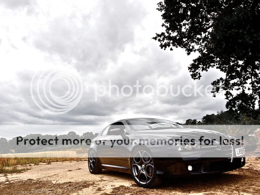 Your Thoughts On Stancing My Alfa